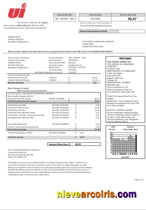 Professional USA Connecticut The United Illuminating Company Electricity Business Utility Bill Template In Word And PDF Formats