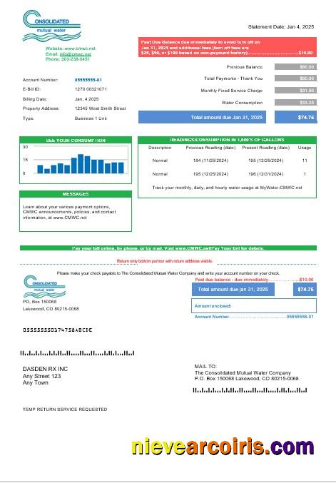 Realistic USA Consolidated Mutual Water Business Utility Bill Template In Word And PDF Formats