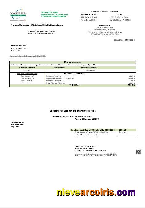 Editable USA Consumers Energy Business Utility Bill Template In Word And PDF Formats