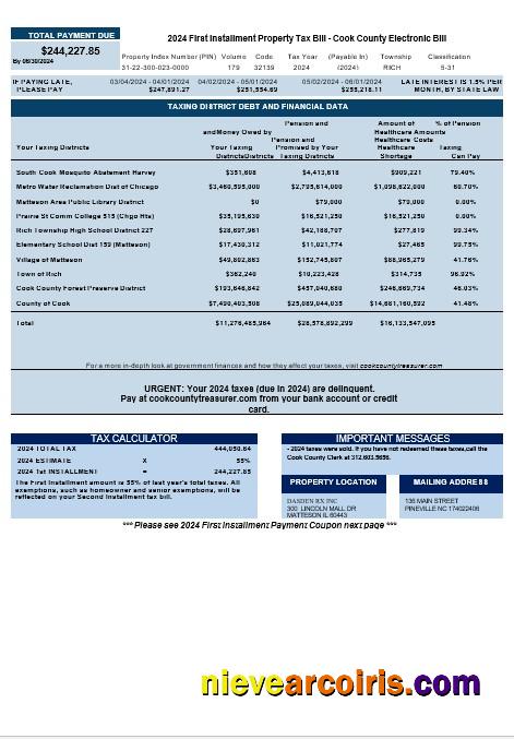 USA Cook Country Electronic Bill Business Utility Bill Download Word And PDF Example Preview