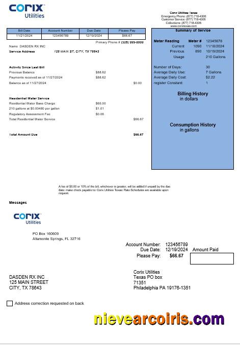 Premium USA Corix Utilities Business Utility Bill Template In Word And PDF Formats