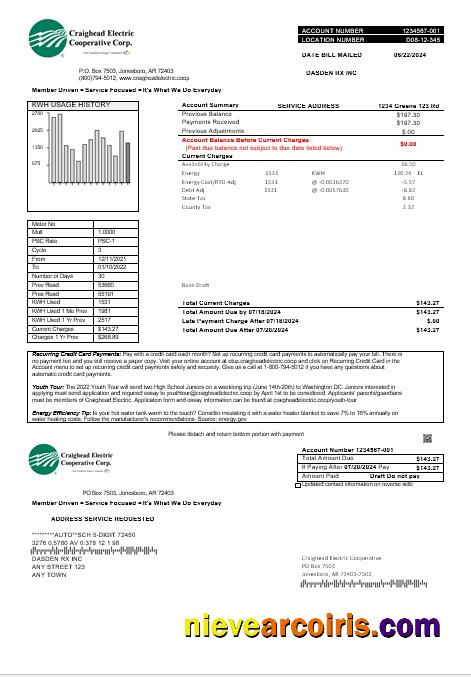 Editable USA Craighead Electric Business Utility Bill Template In Word And PDF Formats