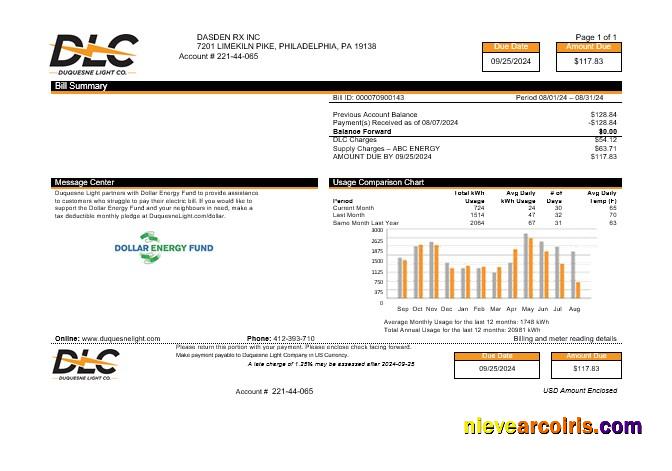 Editable USA DLC Business Utility Bill Word And PDF Template, Version 2