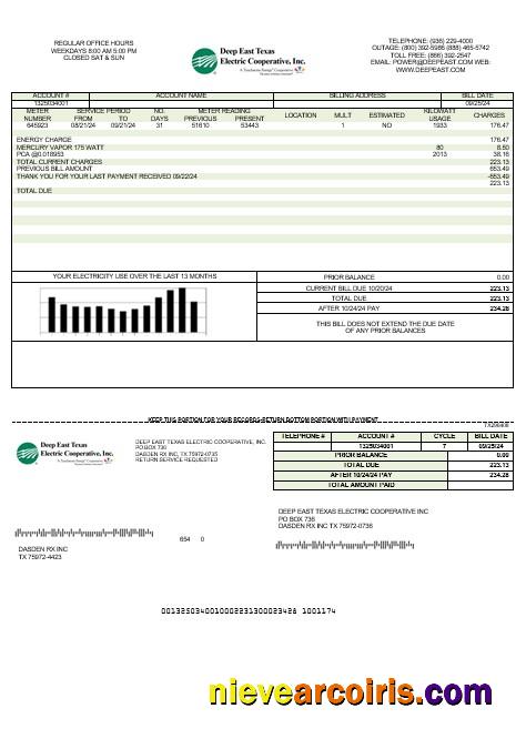 Realistic USA Deep East Texas Electric Business Utility Bill Template In Word And PDF Formats