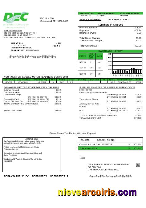 Premium USA Delaware Electric Co Op Business Utility Bill Template In Word And PDF Formats