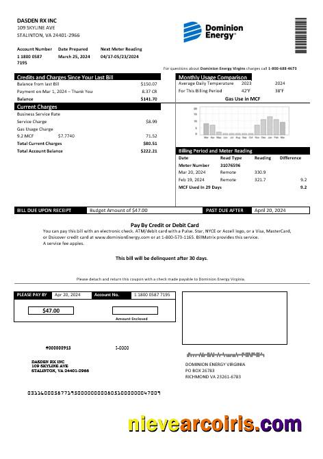 Editable USA Dominion Energy Business Utility Bill Template In Word And PDF Formats