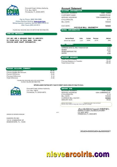 Premium USA ECUA Business Utility Bill Template In Word And PDF Formats
