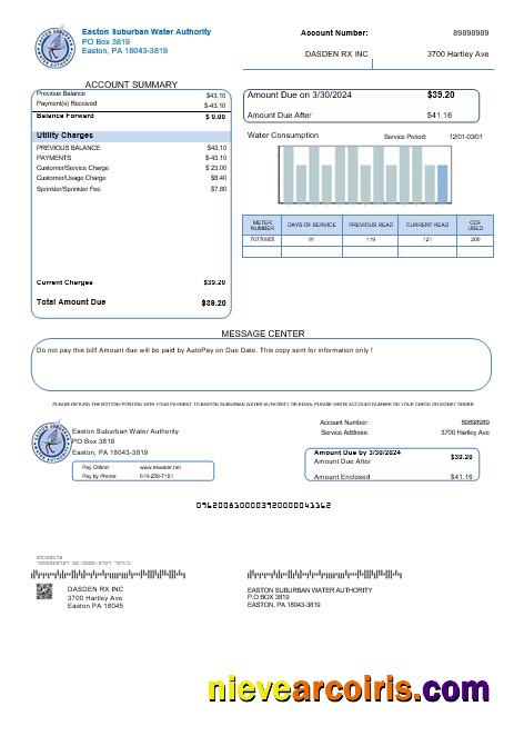 Premium USA Eastern Suburban Water Authority Business Utility Bill Template In Word And PDF Formats