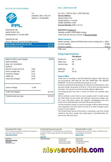USA Florida FPL Electricity Business Utility Bill Word And PDF Formats, Version 2 Preview
