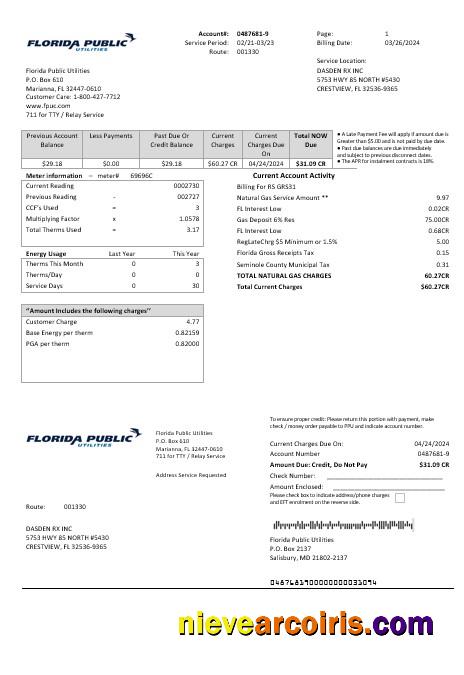 Editable USA Florida Public Utilities Business Utility Bill Template In Word And PDF Formats