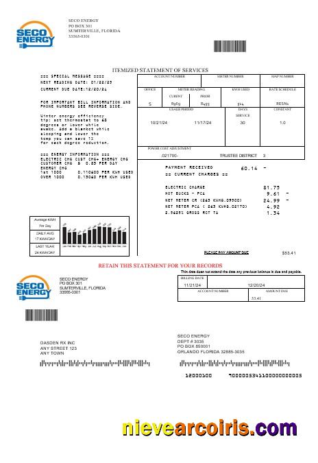Premium USA Florida Seco Energy Business Utility Bill Template In Word And PDF Formats