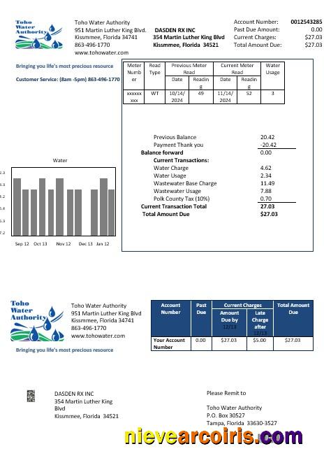 Professional USA Florida Toho Water Authority Business Utility Bill Template In Word And PDF Formats