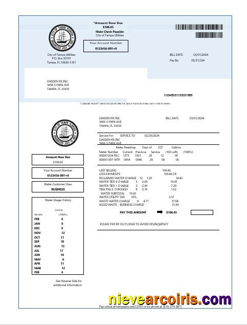 Realistic USA Florida Water Business Utility Bill Template In Word And PDF Formats