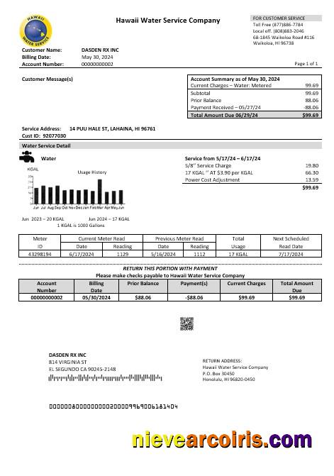Editable USA Hawaii Water Service Company Business Utility Bill Template In Word And PDF Formats