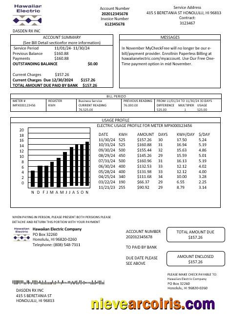 Premium USA Hawaiian Electric Business Utility Bill Template In Word And PDF Formats