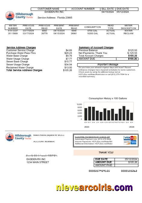 Professional USA Hillsborough County Business Utility Bill Template In Word And PDF Formats