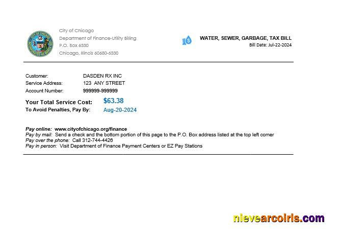 Editable USA Illinois Chicago Water, Sewer, Garbage, Tax Business Utility Bill Word And PDF Template