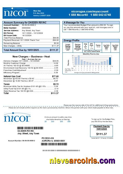 Premium USA Illinois Nicor Gas Business Utility Bill Template In Word And PDF Formats