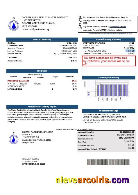 Professional USA Illinois North Park Public Water District IL Business Utility Bill Template In Word And PDF Formats