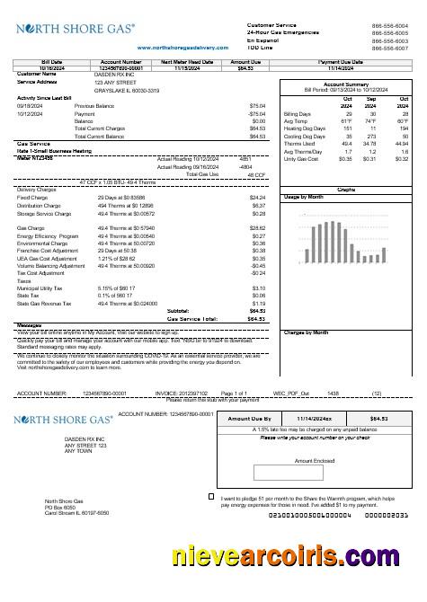 Premium USA Illinois North Shore Gas Business Utility Bill Template In Word And PDF Formats