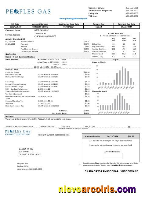 Realistic USA Illinois Peoples Gas Business Utility Bill Template In Word And PDF Formats