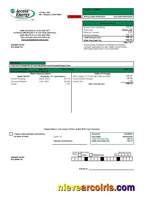 Professional USA Iowa Access Energy Cooperative Business Utility Bill Template In Word And PDF Formats