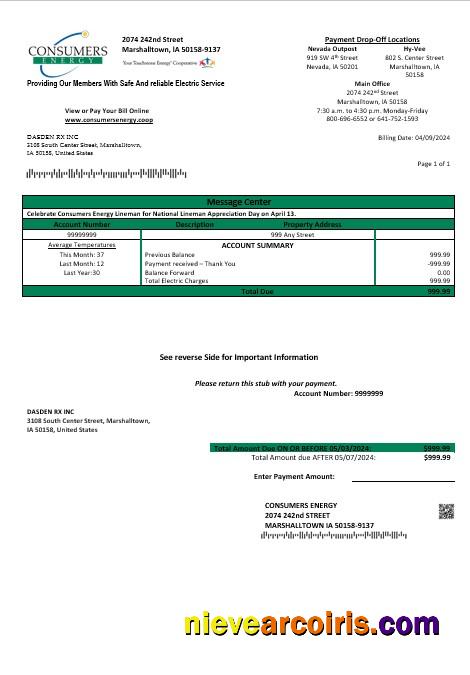 Realistic USA Iowa Consumers Energy Business Utility Bill Template In Word And PDF Formats