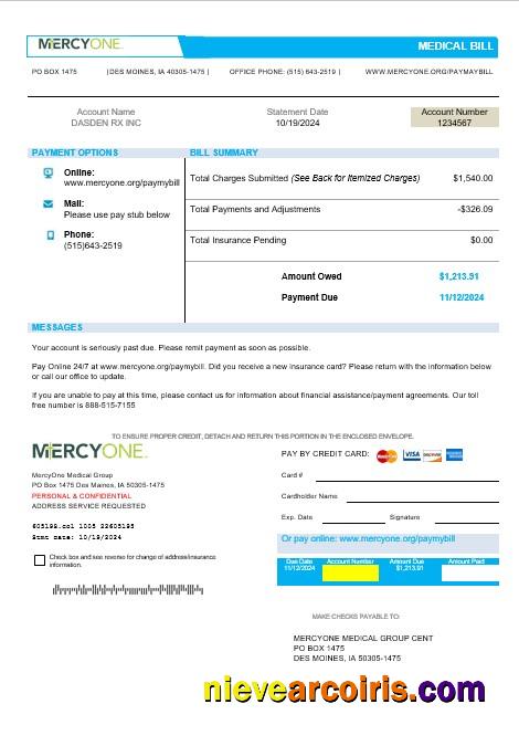 Premium USA Iowa MercyOne Medical Business Utility Bill Template In Word And PDF Formats