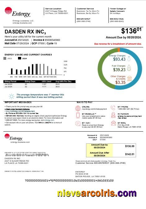 Professional USA Louisiana Entergy Business Utility Bill Template In Word And PDF Formats, Version 2