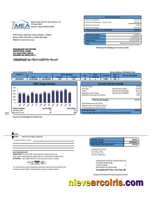 Professional USA MEA Alaska Electricity Business Utility Bill Template In Word And PDF Formats