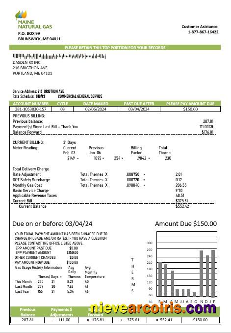 Editable USA Maine Natural Gas Portland Business Utility Bill Template In Word And PDF Formats