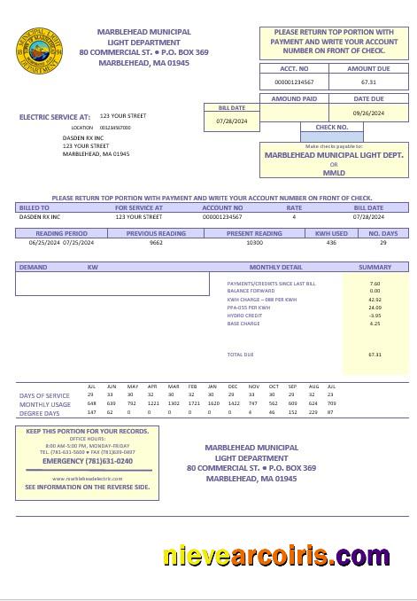Realistic USA Marblehead Municipal Light Department Business Utility Bill Template In Word And PDF Formats