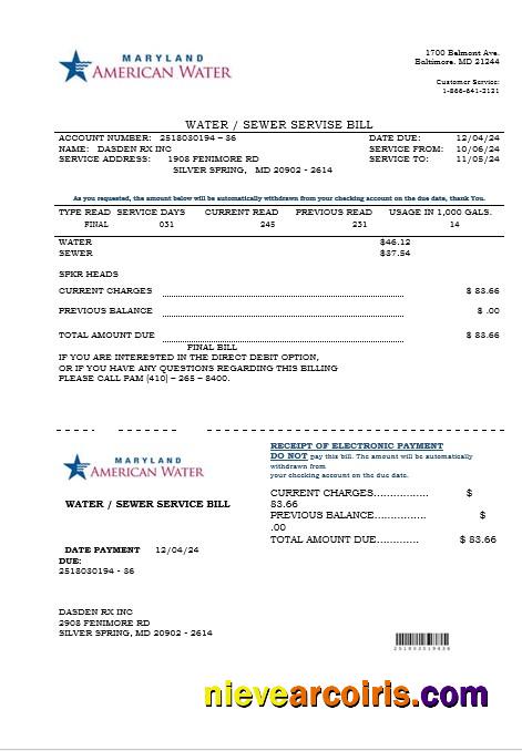 Professional USA Maryland American Water Business Utility Bill Template In Word And PDF Formats
