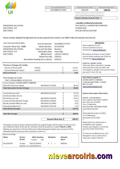 Professional USA Massachusetts Chelsea UI The United Illuminating Company Business Utility Bill Word And PDF Template