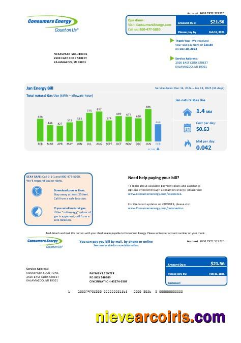 Professional USA Michigan Consumers Energy Business Utility Bill Template In Word And PDF Formats