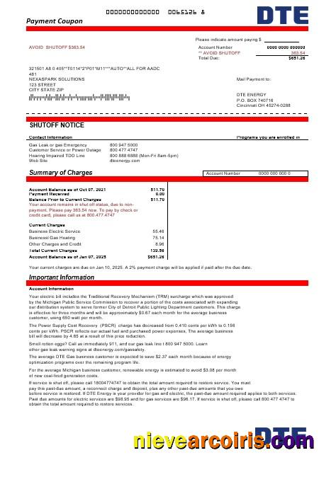 Editable USA Michigan DTE Energy Business Utility Bill Template In Word And PDF Formats