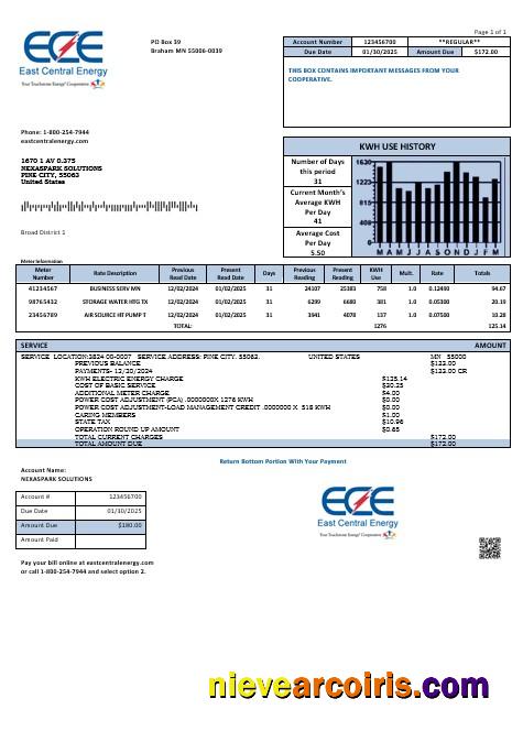 Editable USA Minnesota East Central Energy Business Utility Bill Template In Word And PDF Formats
