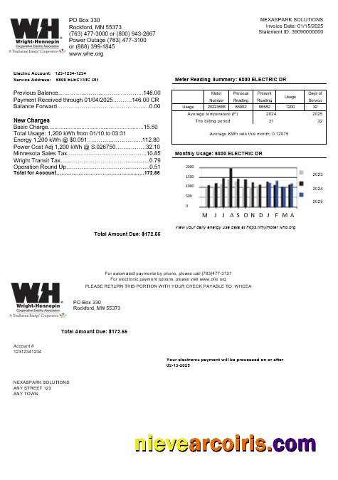 Premium USA Minnesota Wright Hennepin Business Utility Bill Template In Word And PDF Formats