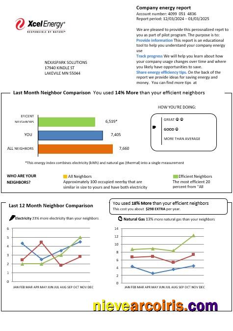Premium USA Minnesota Xcel Energy Business Utility Bill Template In Word And PDF Formats