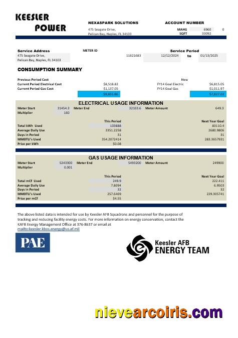 Professional USA Mississippi Keesler AFB Energy Business Utility Bill Template In Word And PDF Formats