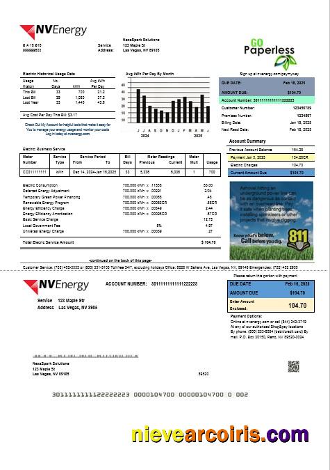Professional USA Nevada NV Energy Business Utility Bill Template In Word And PDF Formats
