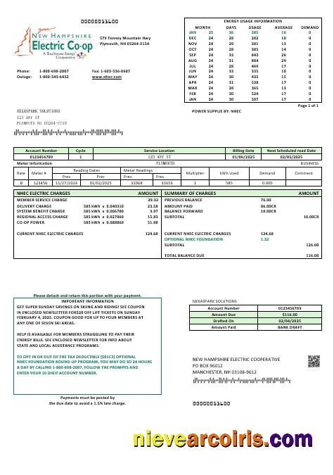 Premium USA New Hampshire Electric Co Op Electricity Business Utility Bill Template In Word And PDF Formats