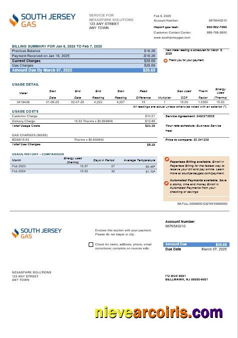 Realistic USA New Jersey South Jersey Gas Business Utility Bill Template In Word And PDF Formats