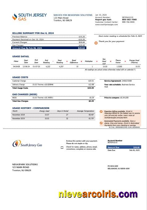Premium USA New Jersey Gas Business Utility Bill Template In Word And PDF Formats