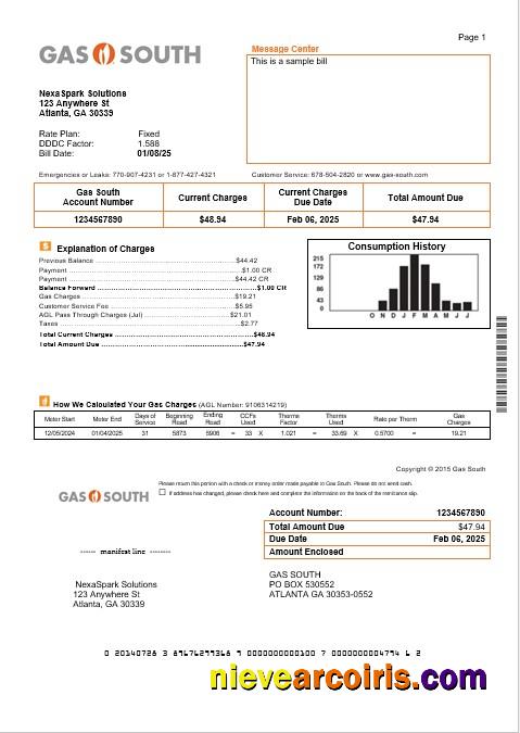 Realistic USA New York Gas South Business Utility Bill Template In Word And PDF Formats