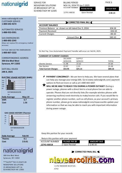 Premium USA New York National Grid Business Utility Bill Template In Word And PDF Formats