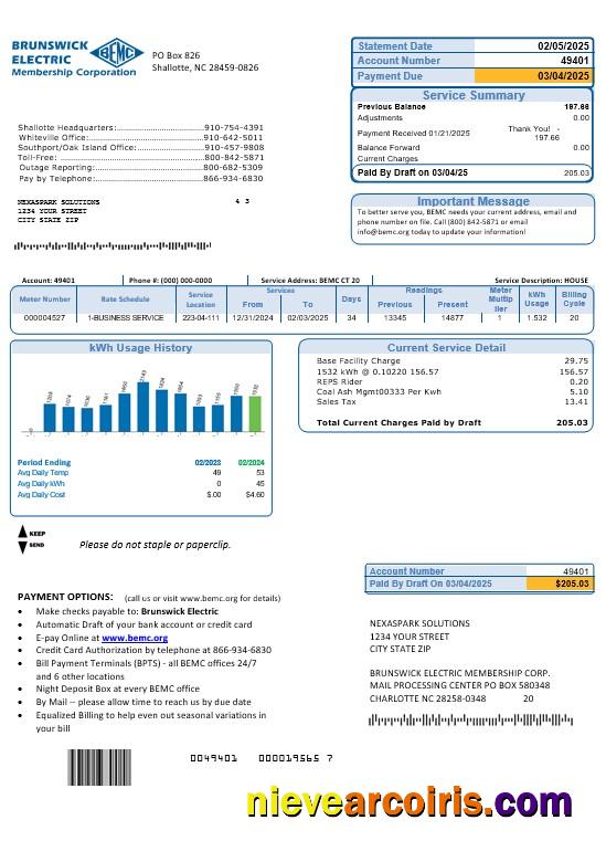 Editable USA North Carolina Brunswick Electric Business Utility Bill Template In Word And PDF Formats