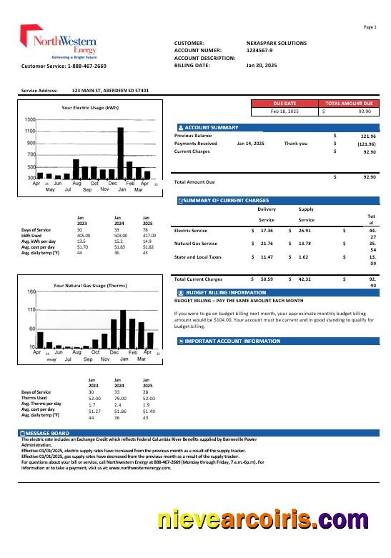 Realistic USA NorthWestern Energy Business Utility Bill Template In Word And PDF Formats, Version 1