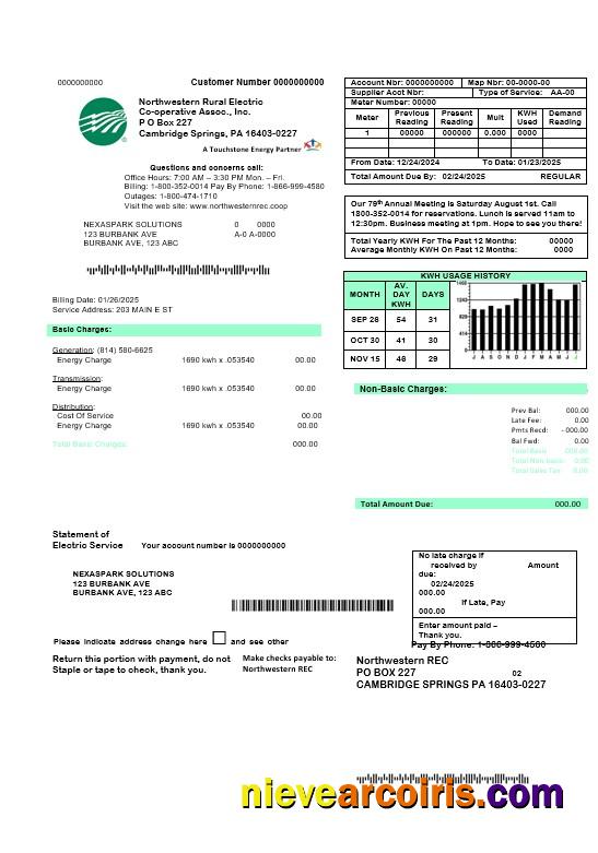Editable USA Northwestern Rural Electric Business Utility Bill Template, Fully Editable In Word And PDF Formats