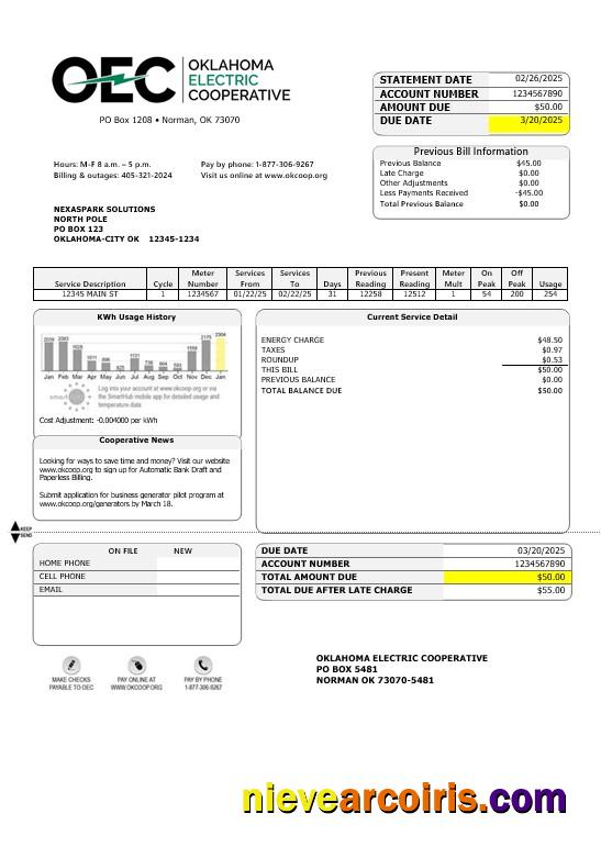 Realistic USA OEC Electricity Business Utility Bill Template In Word And PDF Formats